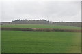 Farmland by the railway