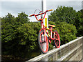 The stripey bikes of Haydon Bridge (5)