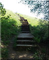 Steps up to Pen-y-fan Pond