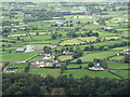 Houses on Tullyframe Road viewed from Knockchree Mountain