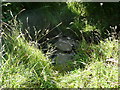 Stepping stones across a stream on Sowerby Bridge Bridleway 119