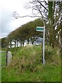 Faded bridleway sign near the Ramsdown Plantation