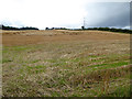 Part harvested field near Park Shield Farm