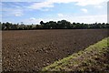 Ploughed field near Mount Sorrell