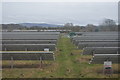 Footpath through solar panels