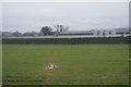 Chicken shed, Silverdale Farm