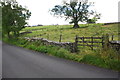 Gateway beside Kirkby Stephen Road SW of Tebaygill Bridge