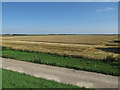 Partially harvested field