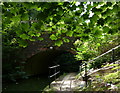 Lode Lane Bridge No 81