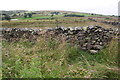 NY5905 : View over dry stone wall NE of Greenholme by Roger Templeman