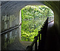 Beneath the Yardley Road Bridge No 86A