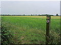 The Essex Way near Shellow Hall near Willingale