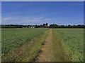 On the Essex Way - path leading towards Fairstead Church