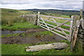 NY5805 : Gateway across track above High Whinhowe by Roger Templeman