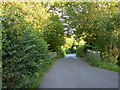 Crammers Bridge over Kate Brook