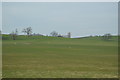 Farmland north of the A59