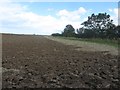 NU2129 : Ploughed field south of Burnhouse by Graham Robson