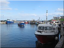 NU2232 : Boats moored in Seahouses Harbour by Graham Robson