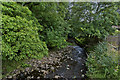 Skirden Beck (downstream)