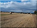 Straw Bales near Haunton