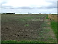 Farmland beside drain, Martin Fen