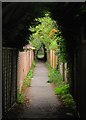 Footpath to Hickman