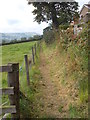 Footpath - off Woodside Road