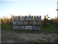 TQ6668 : Stack of boxes at Sole Street orchard by David Howard