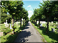 TL2740 : Cemetery, Ashwell by Robin Webster