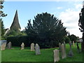 Ash Cemetery, Late September 2015 (IV)