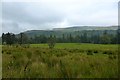 Fintry, rough and good grazing