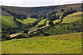 West Somerset : Countryside Scenery