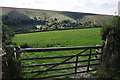 West Somerset : Grassy Field & Gate