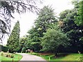 Driveway to the Royal Berkshire Hotel