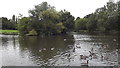 The Pool, Braunstone Park