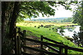 The Church Walk, Straiton