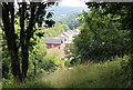 Dan-y-Graig Nature Reserve, Risca