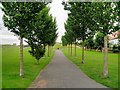 Path into Harrison Park