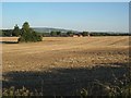 Stubble field, Kennel Bank, Kinnersley