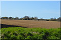 Farmland by Westlands Lane