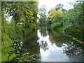 The moat in Lloyd Park