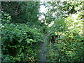 Diversion of Brighouse FP99 approaching Ogden Lane, Rastrick