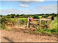 Rake Lane Crossing the Railway