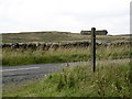 Signpost, Harwood Head