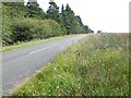 NY9990 : The road beside Harwood Forest by Richard Webb