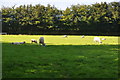 West Somerset : Grassy Field & Sheep