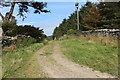 Track to Monreith