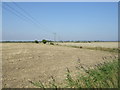 Stubble field off Sea Lane