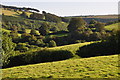 West Somerset : Countryside Scenery