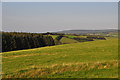 West Somerset : Grassy Field